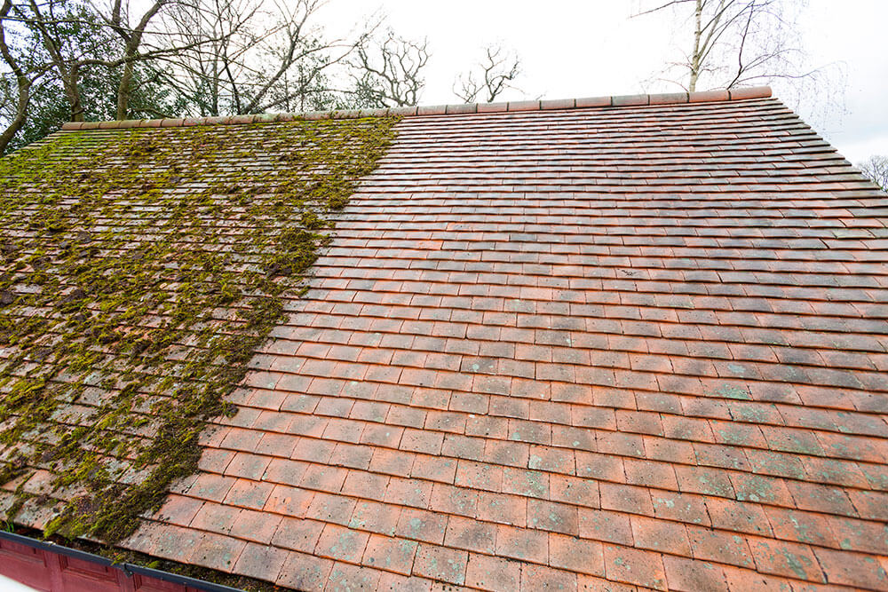 Roof cleaning & moss removal